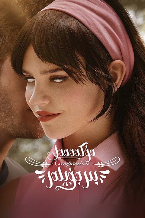 مۇكەممەل بىرجۈپلەر