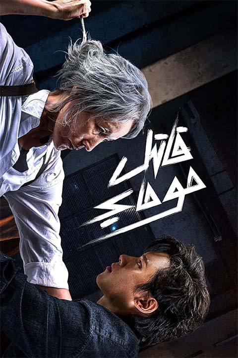 قاتىل موماي