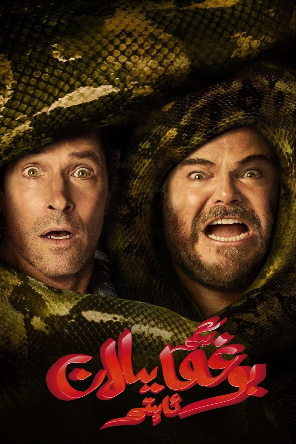 يىڭى بوغما يىلان ئاپىتى